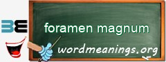 WordMeaning blackboard for foramen magnum